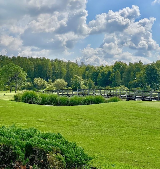 view of community with a lawn