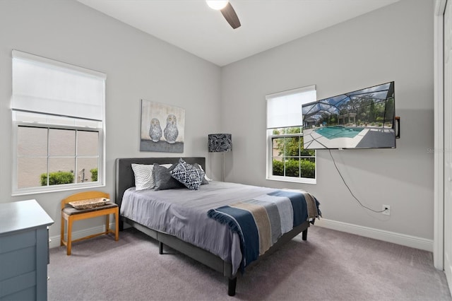 bedroom featuring carpet, ceiling fan, and multiple windows