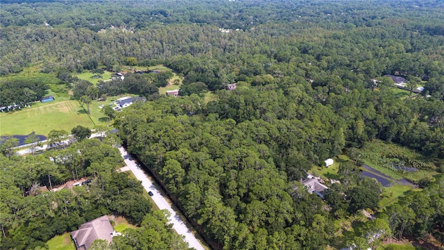 W Dr, Wesley Chapel, FL 33544 - photo 7