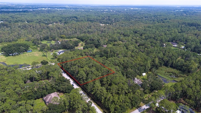 W Dr, Wesley Chapel, FL 33544 - photo 8