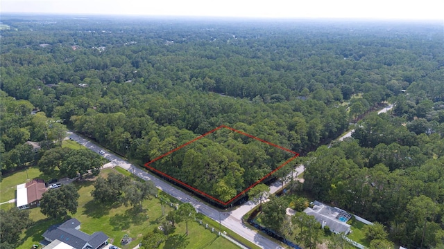 W Dr, Wesley Chapel, FL 33544 - photo 10