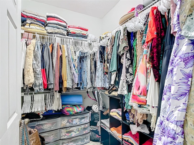 spacious closet featuring carpet floors