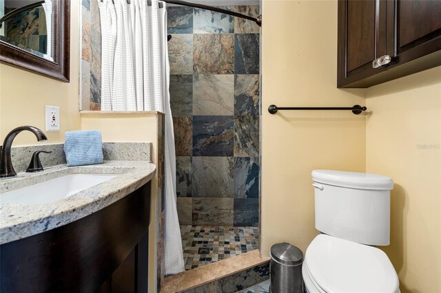 bathroom featuring toilet, vanity, and a shower with curtain