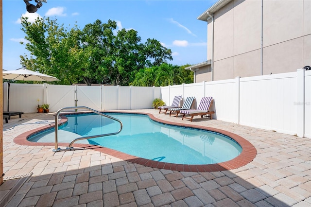 view of pool with a patio