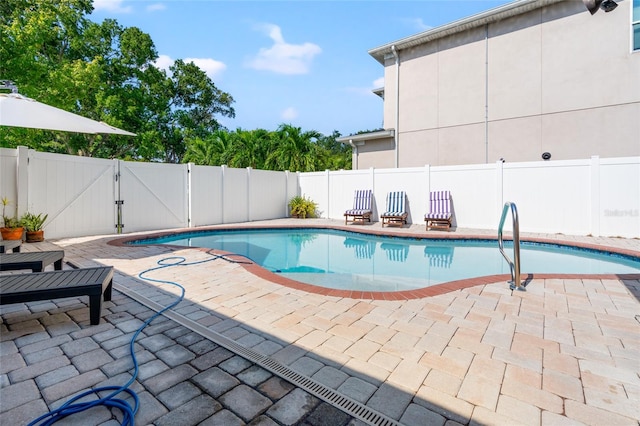 view of swimming pool featuring a patio