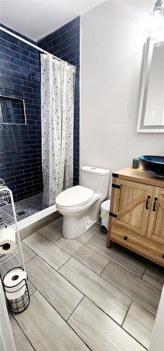 bathroom featuring toilet, vanity, and walk in shower