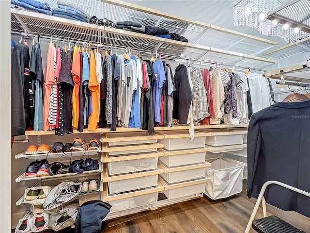 spacious closet featuring wood finished floors