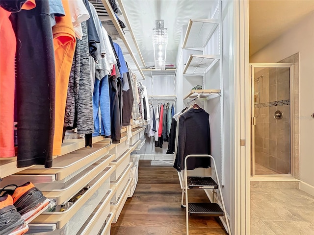 spacious closet featuring dark hardwood / wood-style floors