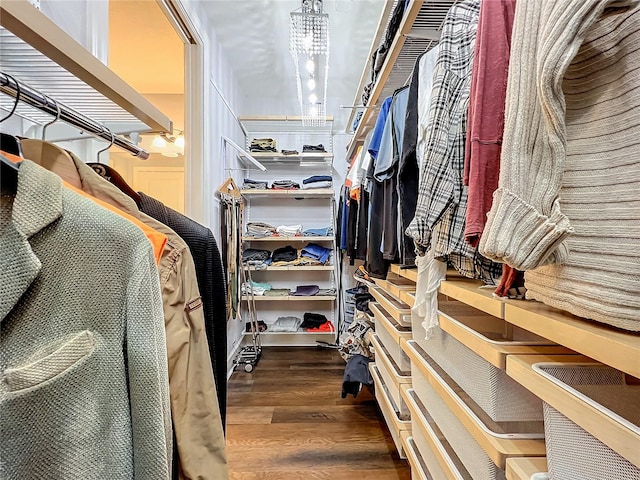 walk in closet with a notable chandelier and dark hardwood / wood-style floors