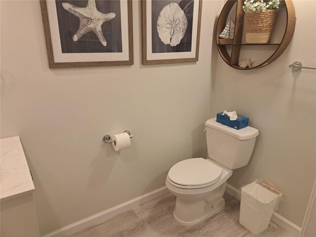 bathroom featuring toilet, vanity, and wood-type flooring