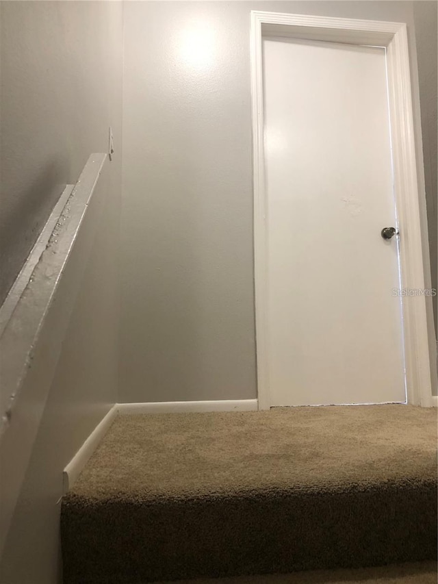 stairs featuring carpet floors