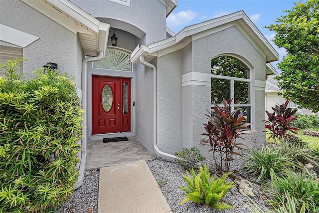 view of exterior entry with stucco siding