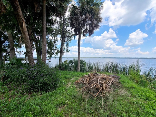 property view of water