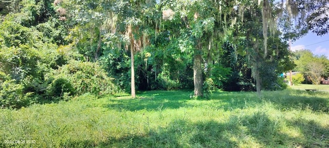 1980 S Tsala Ter, Inverness FL, 34450 land for sale