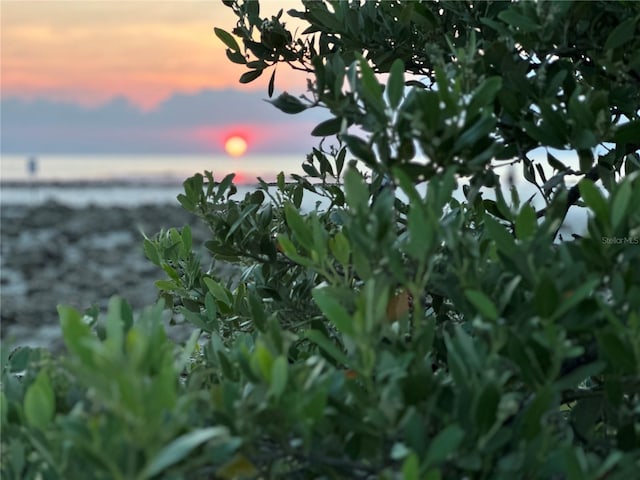 nature at dusk featuring a water view