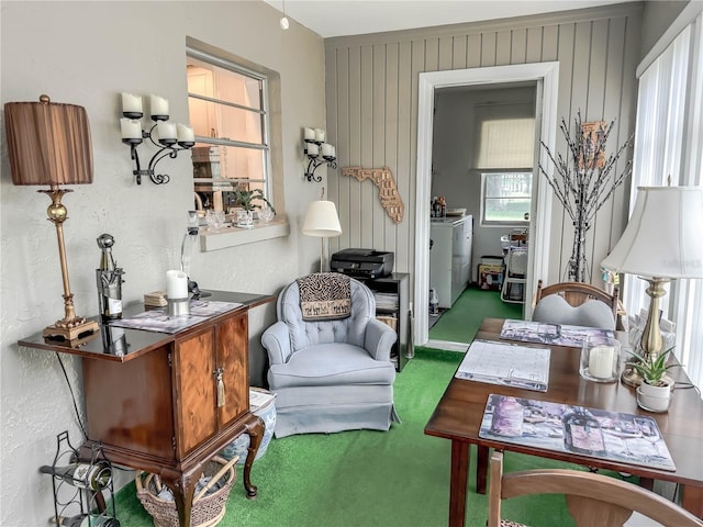 living area featuring carpet floors