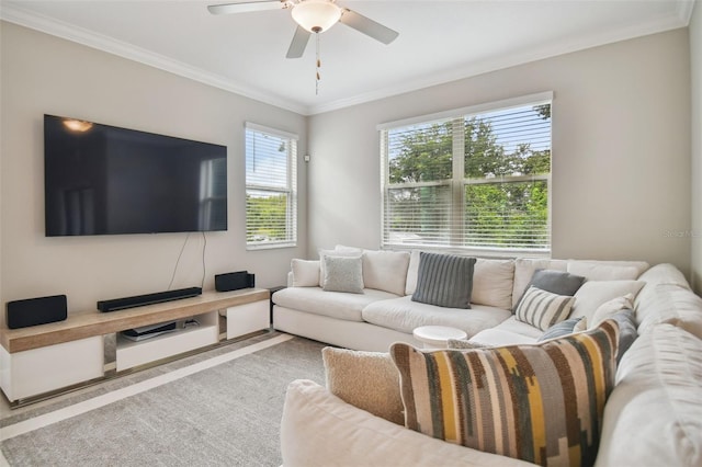 living room with carpet, a ceiling fan, and crown molding