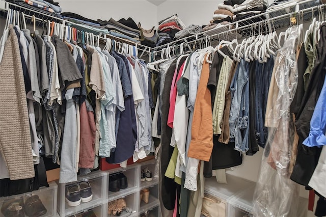 view of spacious closet