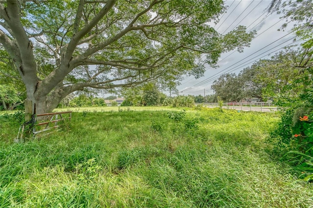 10912 672nd Hwy, Riverview, FL 33579 - photo 2
