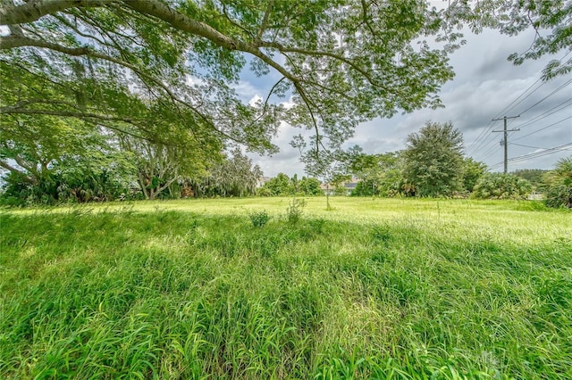 10912 672nd Hwy, Riverview, FL 33579 - photo 11