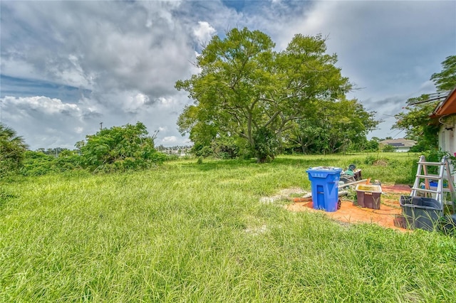 10912 672nd Hwy, Riverview, FL 33579 - photo 14