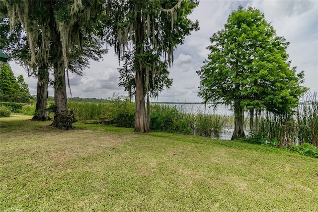 view of yard with a water view