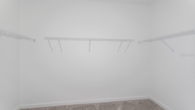 walk in closet with carpet