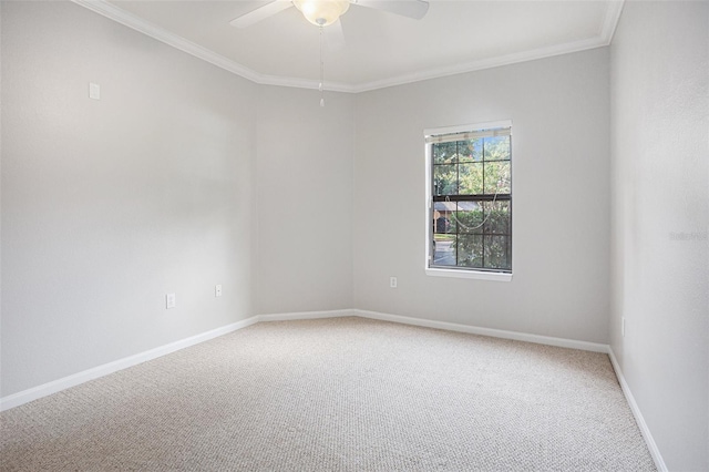 spare room with ceiling fan, carpet flooring, and crown molding