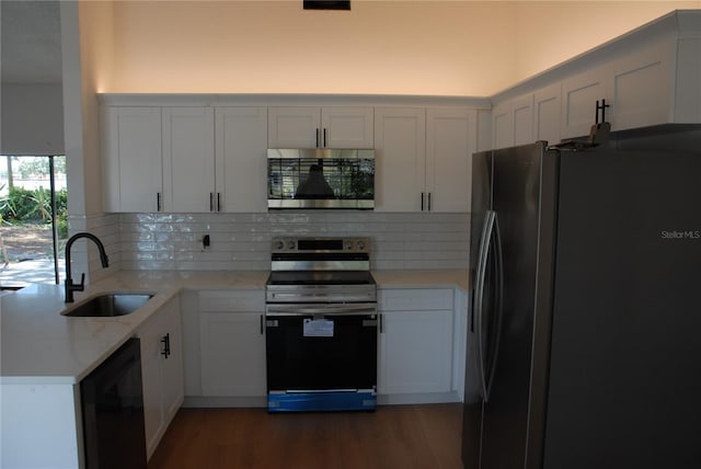 kitchen featuring stainless steel appliances, a sink, wood finished floors, and tasteful backsplash