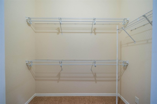 walk in closet featuring carpet floors