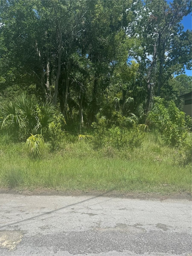 Listing photo 2 for LOT289 Cutlass Dr, Hudson FL 34667