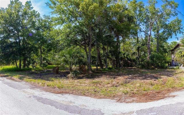 LOT289 Cutlass Dr, Hudson, FL 34667 - photo 7