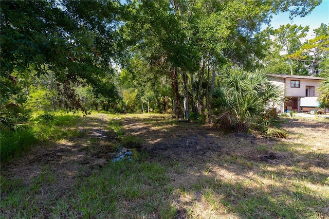 LOT289 Cutlass Dr, Hudson, FL 34667 - photo 8