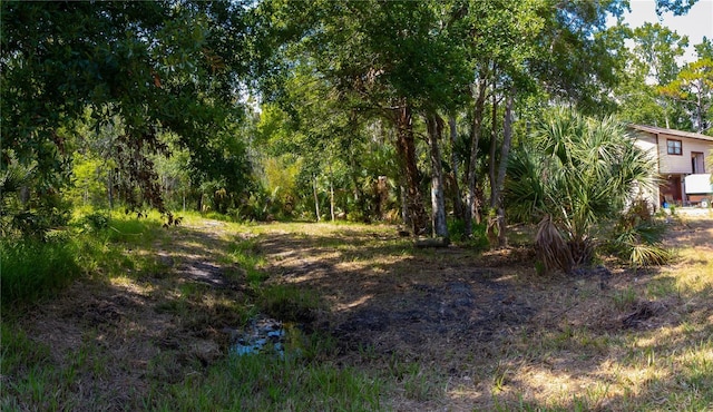 LOT289 Cutlass Dr, Hudson, FL 34667 - photo 9