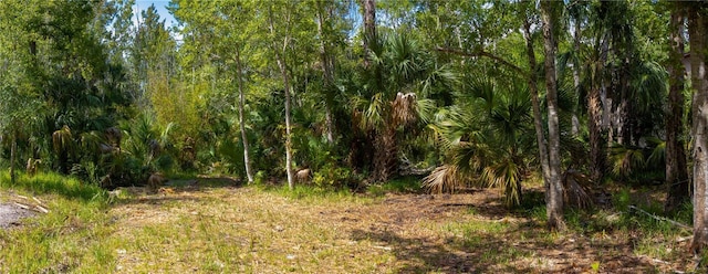LOT289 Cutlass Dr, Hudson, FL 34667 - photo 10
