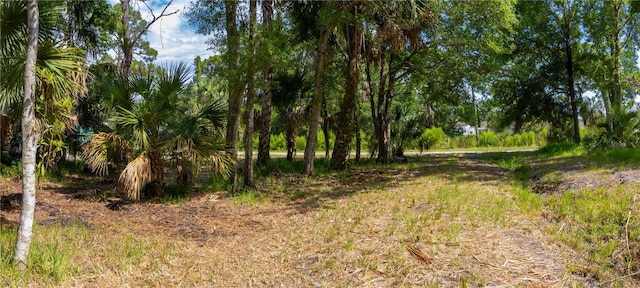 LOT289 Cutlass Dr, Hudson, FL 34667 - photo 11