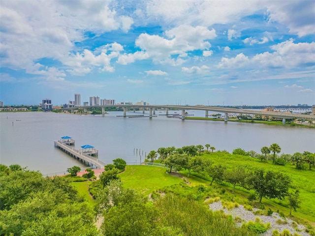 property view of water featuring a city view