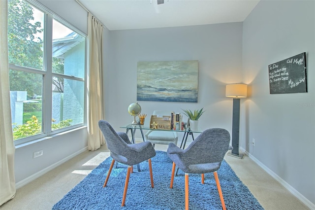 living area featuring light colored carpet