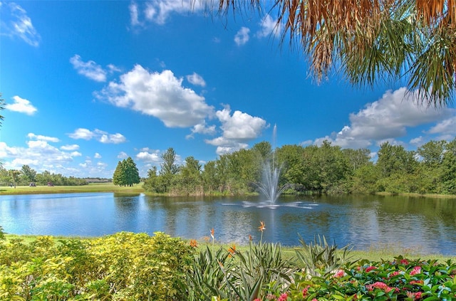 view of water feature