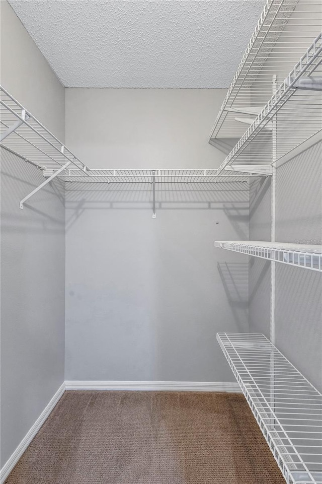 2309 Mooney Pl, Sun City Center, FL 33573 - spacious closet with carpet