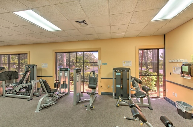 2309 Mooney Pl, Sun City Center, FL 33573 - workout area featuring baseboards, a paneled ceiling, and a wealth of natural light