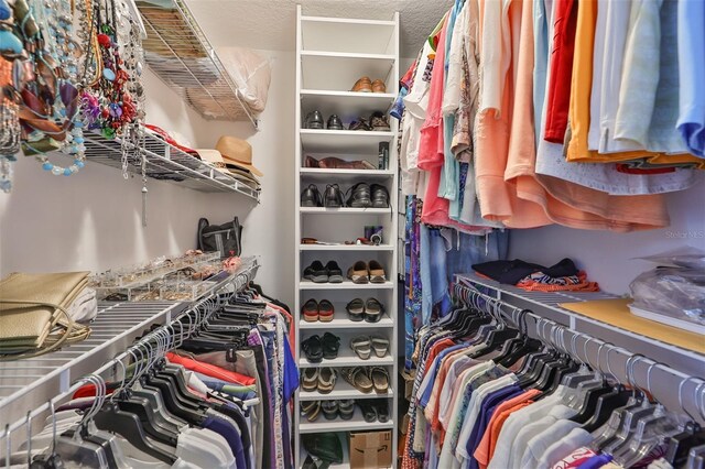 view of spacious closet