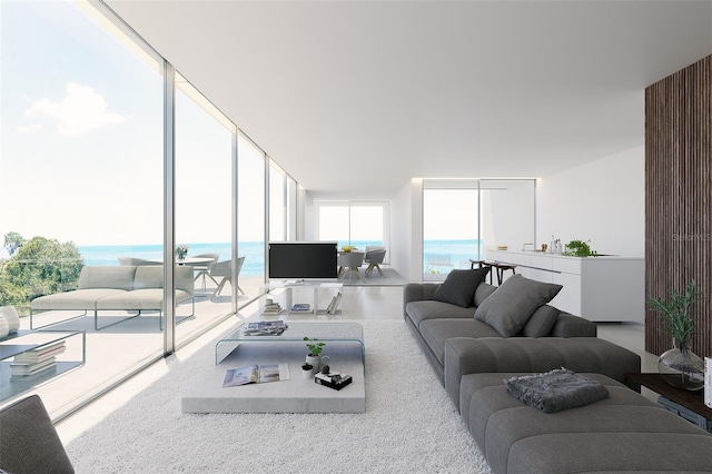 living room with floor to ceiling windows