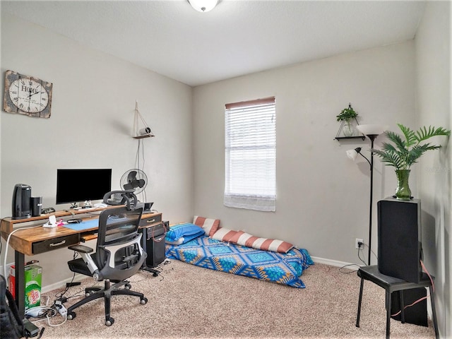 bedroom featuring carpet flooring