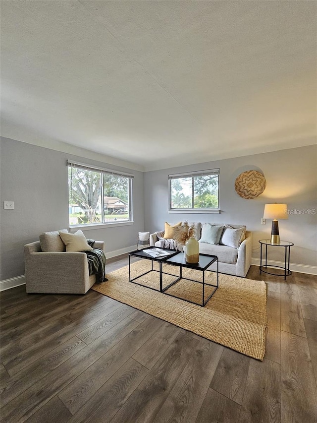 3763 Dartmouth Ave N, Saint Petersburg, FL 33713 - living area with wood-type flooring, plenty of natural light, and baseboards