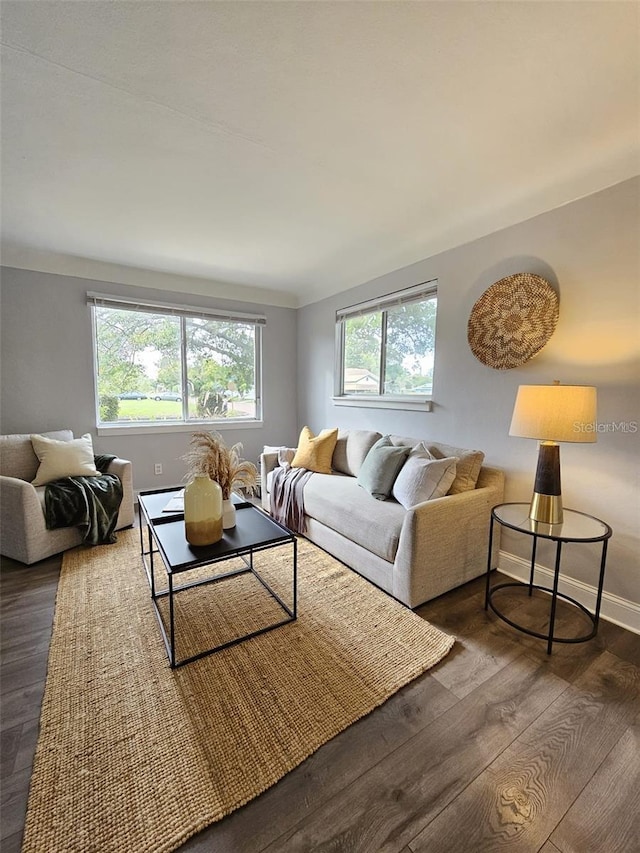 3763 Dartmouth Ave N, Saint Petersburg, FL 33713 - living room with dark wood-style flooring and baseboards