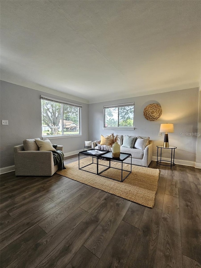 3763 Dartmouth Ave N, Saint Petersburg, FL 33713 - living area with dark wood-style floors and baseboards