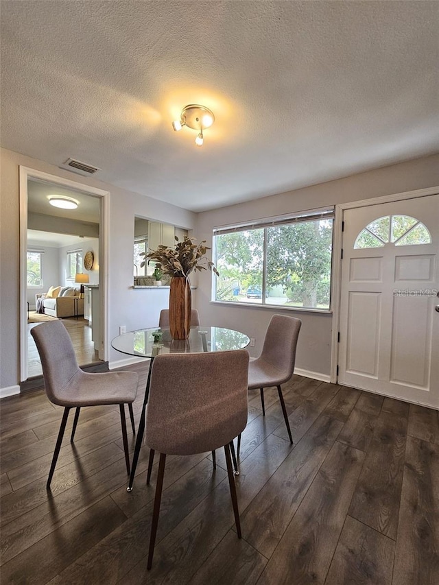 3763 Dartmouth Ave N, Saint Petersburg, FL 33713 - dining area with dark wood-style flooring, plenty of natural light, a textured ceiling, and baseboards