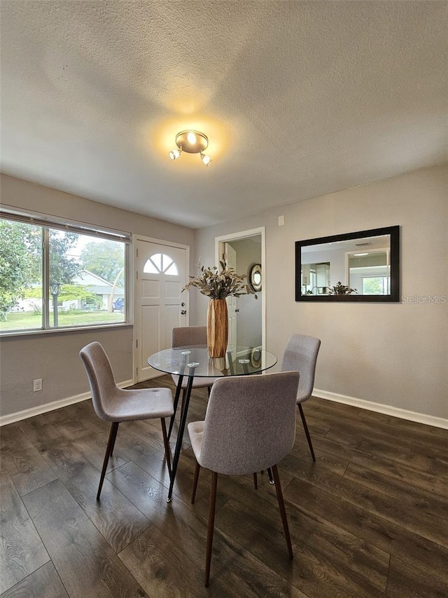 3763 Dartmouth Ave N, Saint Petersburg, FL 33713 - dining room featuring baseboards, dark wood-style floors, and a textured ceiling