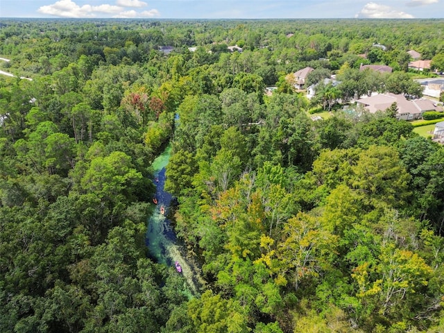 6101 Waters Way, Weeki Wachee, FL 34607 - photo 18